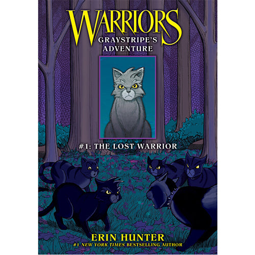 Warriors graphic novels 9 titles kids reference