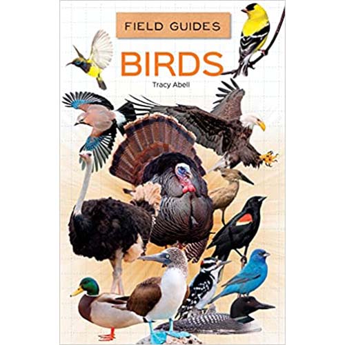 Field Guides for Kids 1 - 4 Titles