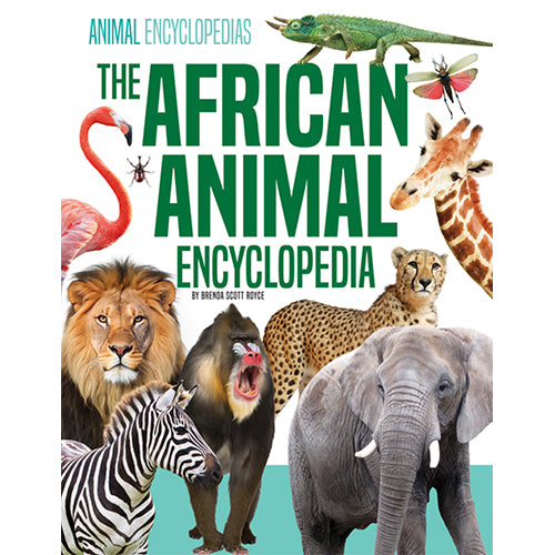 Animal Encyclopedias Set 2 - 4 Titles