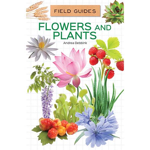 Field Guides for Kids 2 - 4 Titles