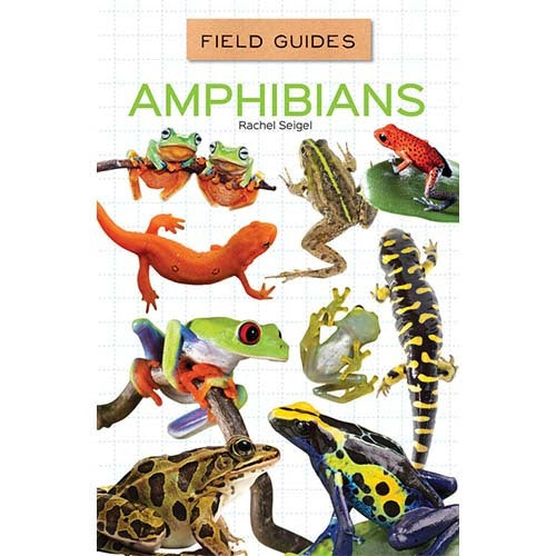 Field Guides for Kids 3 - 4 Titles